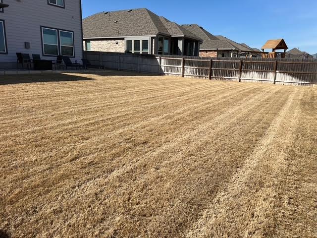 Aeration & Lawn Recovery